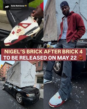 Image post by @soleretriever on Instagram