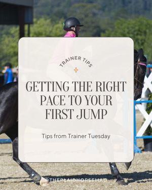 Image post by @theplaidhorsemag on Instagram