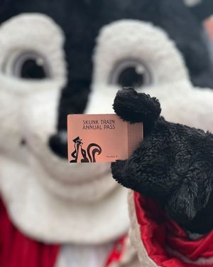 Image post by @skunktrain on Instagram