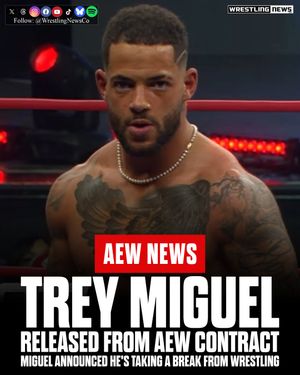 Image post by @wrestlingnewsco on Instagram