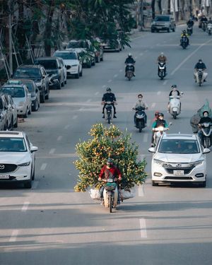 Image post by @fubiz on Instagram