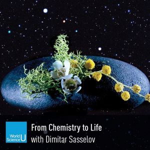 Image post by @worldscifest on Instagram