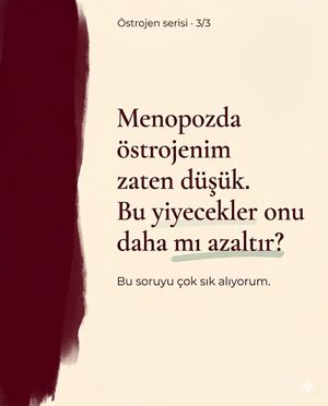 Image post by @asliokender on Instagram