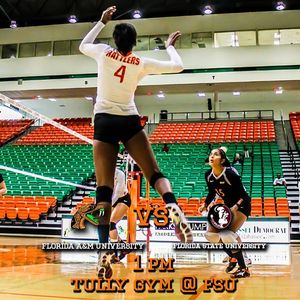 Image post by @famuathletics on Instagram