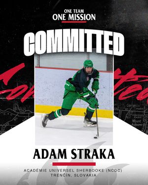 Image post by @ucicehockey on Instagram