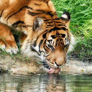 Image post by @discovery on Instagram