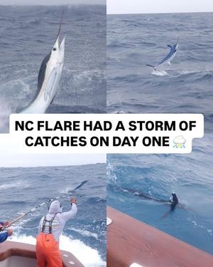 Image post by @sportfishingchampionship on Instagram