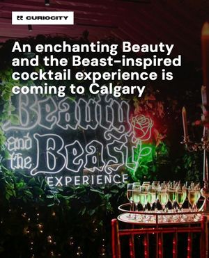 Image post by @curiocitycalgary on Instagram