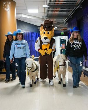 Image post by @thesupermascot on Instagram