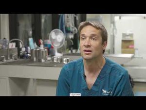 Video post by @AnimalHumaneSocietyMN on YouTube