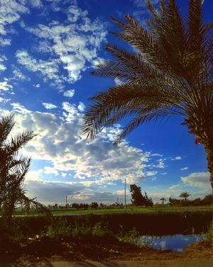Image post by @faragelo22 on Instagram