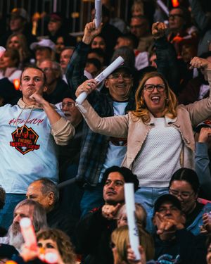 Image post by @Firebirds on Twitter