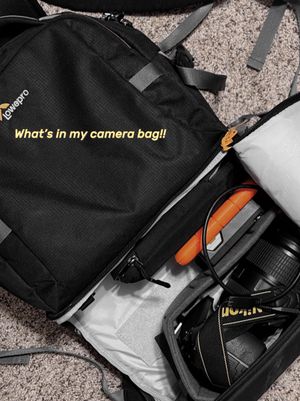 Video post by @bysophiedoyne on TikTok