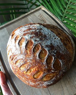 Image post by @therookiechef on Instagram