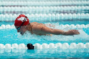 Image post by @razorbackswimdive on Instagram