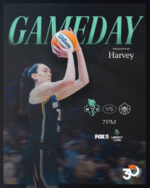 Image post by @nyliberty on Instagram