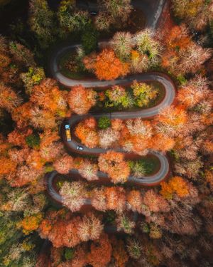 Image post by @droneartgallery on Instagram