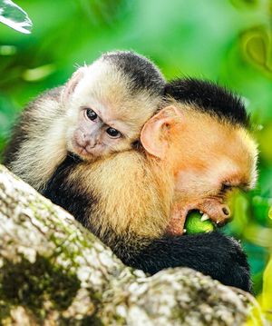 Image post by @thrubenslenss on Instagram