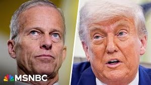 Video post by @msnbc on YouTube