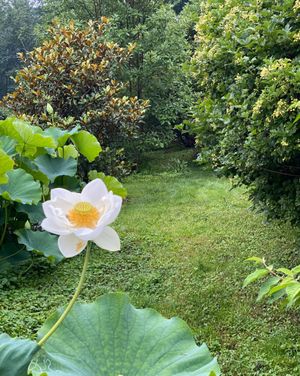Image post by @ahs_gardening on Instagram