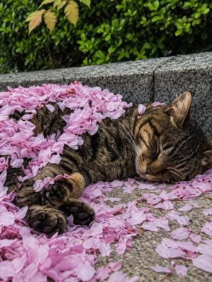 Image post by @fubiz on Instagram