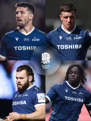 Image post by @salesharks on Instagram