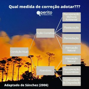 Image post by @operitoambiental on Instagram