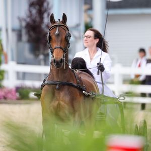 Image post by @usefnetwork on Instagram
