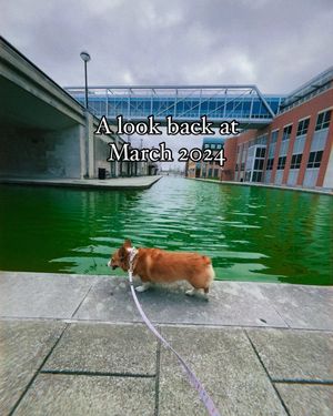 Image post by @ziggy_thecorg on Instagram