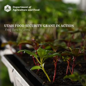 Image post by @utagandfood on Instagram