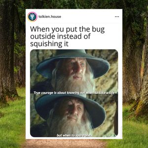 Image post by @fantasybynumbers on Instagram