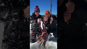 Video post by @chef on YouTube