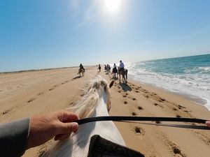 Image post by @gopro on Instagram