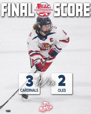 Image post by @smumn_whockey on Instagram