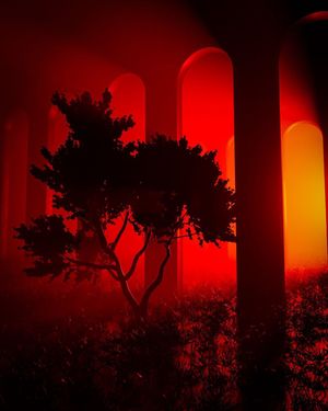 Image post by @jordan_motion on Instagram