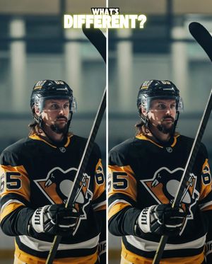 Image post by @hockeymonkey on Instagram