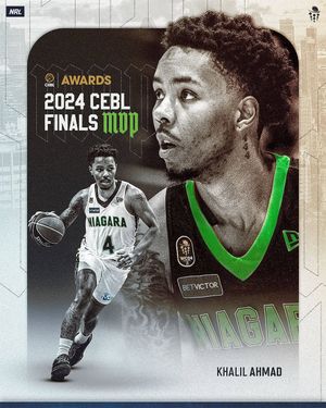 Image post by @niagarariverlions on Instagram