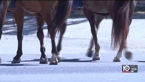 Video post by @ericvfranklin on Facebook
