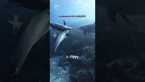 Video post by @gopro on YouTube
