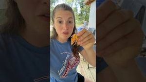 Video post by @annathearcher on YouTube