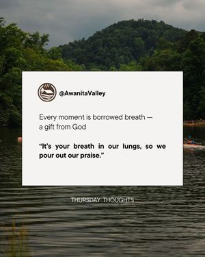 Image post by @awanitavalley on Instagram