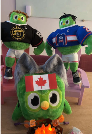 Video post by @duolingo on TikTok