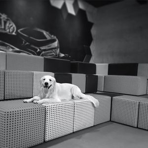 Image post by @mikethewhitegolden on Instagram
