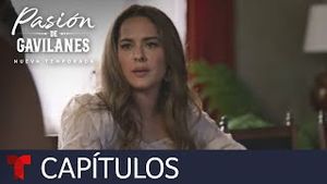 Video post by @telemundo on YouTube
