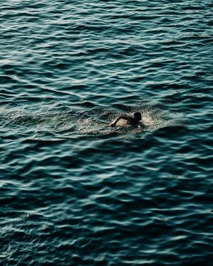 Image post by @leica_camera on Instagram