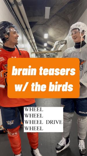 Video post by @flintfirebirdsofficial on TikTok