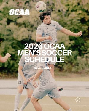 Image post by @theocaa on Instagram
