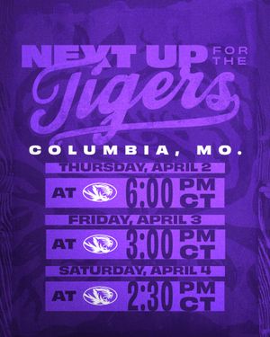 Image post by @lsusoftball on Instagram