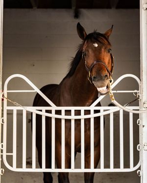 Image post by @kentuckyderby on Instagram