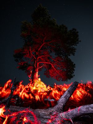 Image post by @lightcrafter.artistry on Instagram